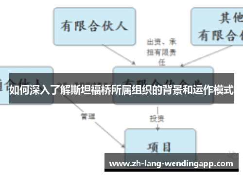 如何深入了解斯坦福桥所属组织的背景和运作模式