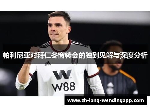 帕利尼亚对拜仁冬窗转会的独到见解与深度分析