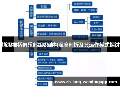 斯坦福桥俱乐部组织结构深度剖析及其运作模式探讨