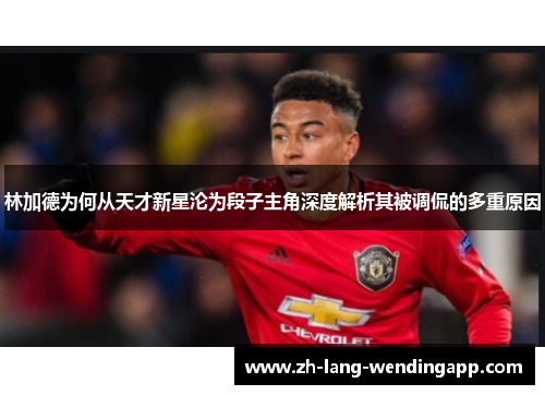 林加德为何从天才新星沦为段子主角深度解析其被调侃的多重原因