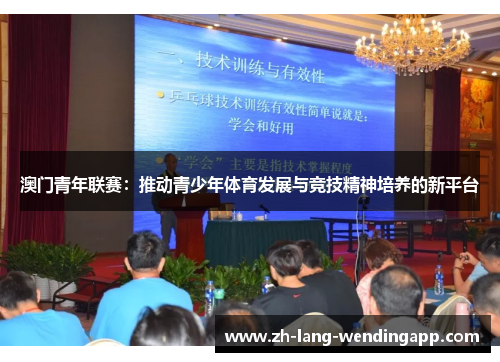 澳门青年联赛：推动青少年体育发展与竞技精神培养的新平台