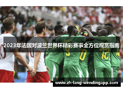 2023年法国对波兰世界杯精彩赛事全方位观赏指南